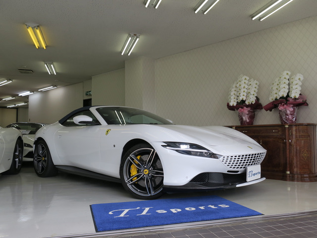 ローマスパイダー