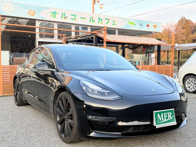 モデル3 パフォーマンス 4WD FSD 4G通信無料 サーモン 自動駐車