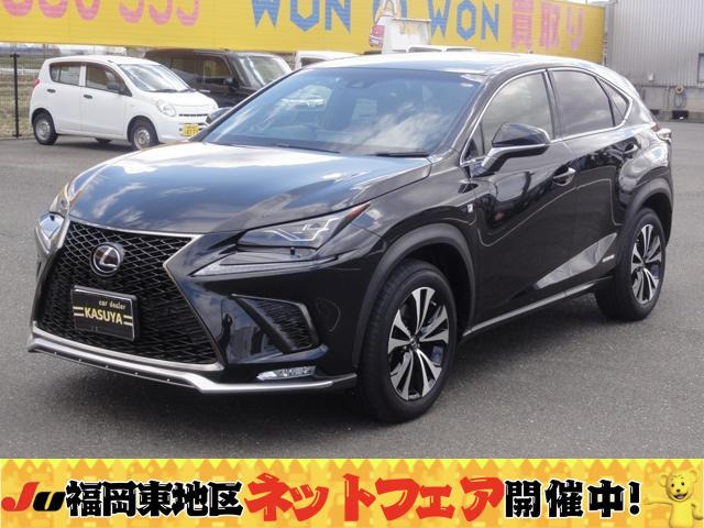 NX300h Fスポーツ 4WDサンルーフ レーダークルーズ 地デジ