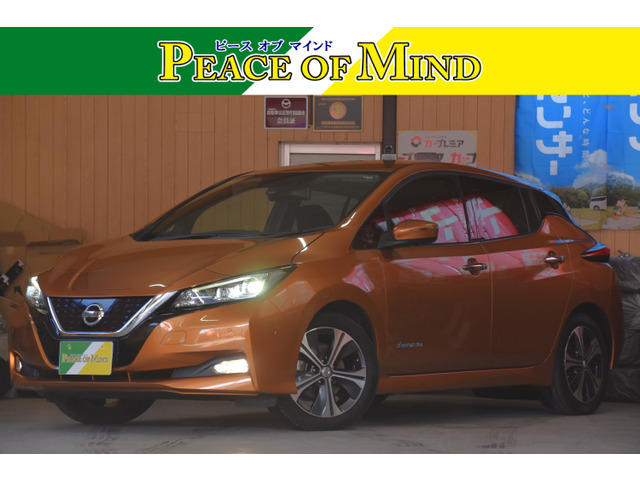 リーフ G 検8.9プロパイロット純ナビ/アラビュー