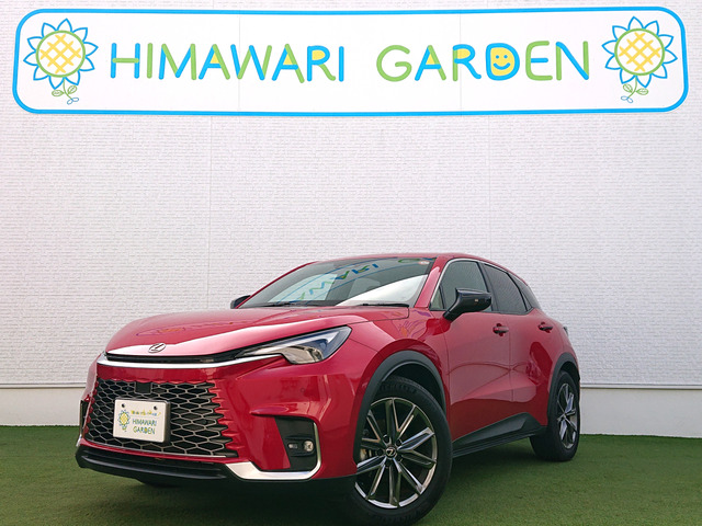 LBXリラックス全方位/BSM/革シート/LED/HUD