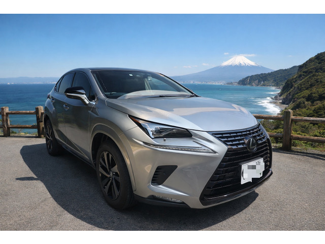 NX300 ブロンズ エディションユーザー買取