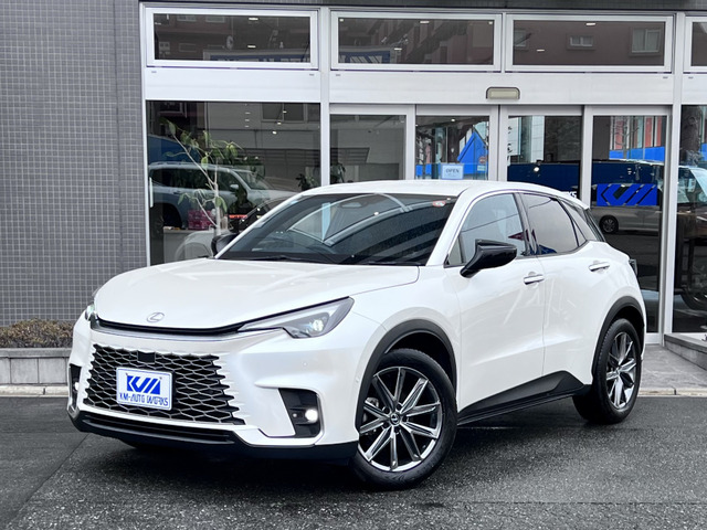 LBX リラックス アドバンスドパーク 前後ドレラコ