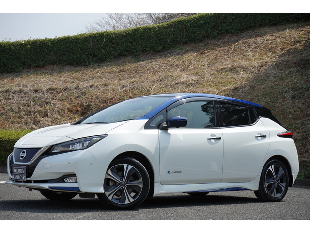 リーフG満充電289(306km)セグメント12