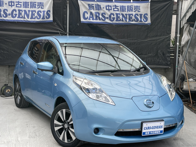リーフ30kWh X サンクス エディションナビTV・全周カメラ・スマキー・LED