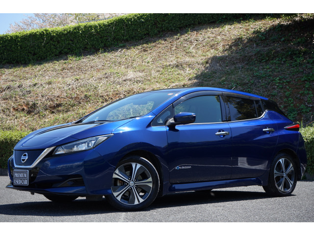 リーフ X 10万台記念車 満充電256(271km)セグメント12