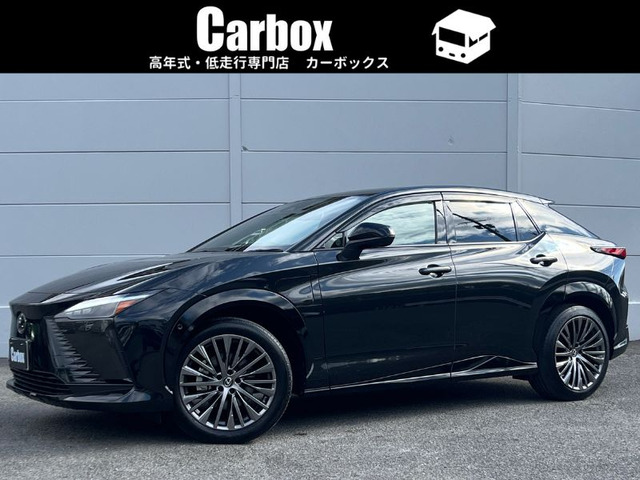 RZ 300e バージョンL 