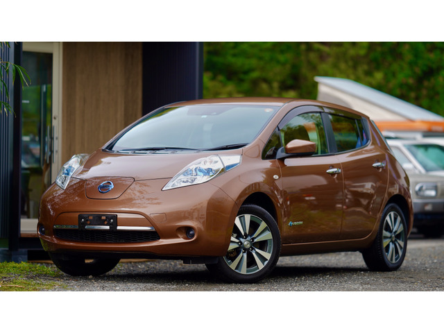 リーフ30kWh Xセグ残10 満充電 188km TV