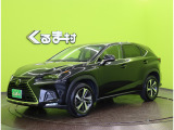NX 300 バージョンL 【フルセグナビ★セーフティシステム+】