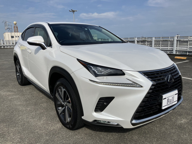 NX 300h バージョンL 