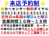 ライフ G コンフォートセレクト バックカメラ/新品バッテリー/車検2年
