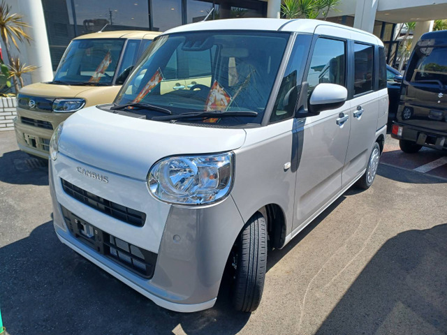 ムーヴキャンバス ストライプス X 