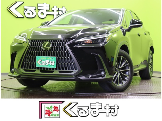 NX 250 【9.8型Dオーディオ★合皮シート】（5BA-AAZA20）