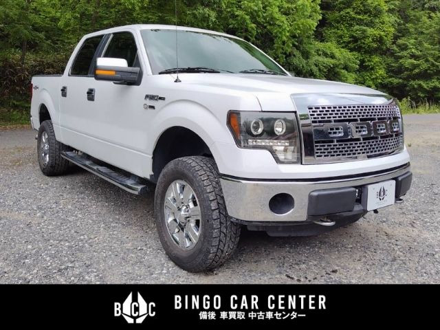 F-150 XLT ナビTV ドラレコ前 前後左右カメラ