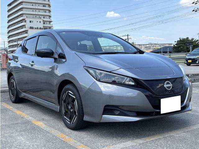 リーフ X 