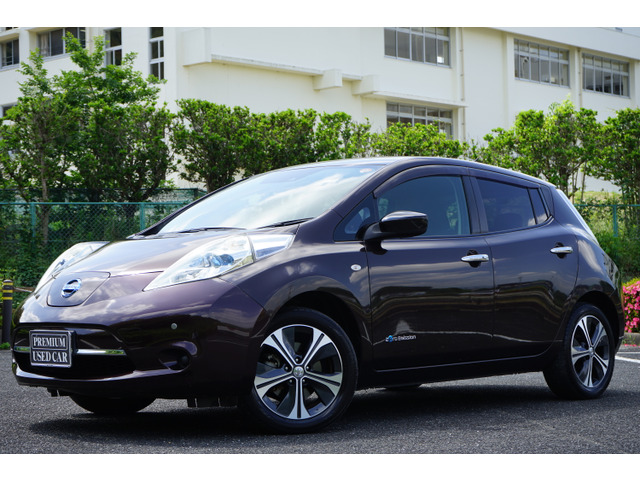 リーフ 30kWh X サンクス エディション 満充電170km セグメント10