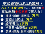 セレナ 2.0 20G アルパインナビTV・バックカメラ・横滑り