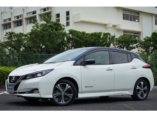 リーフ G 満充電260(275km)セグメント11
