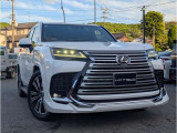 LX 600 4WD リアエンターテイメントシステム