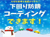 サンバートラック TC プロフェッショナル 4WD 道外仕入 エクストラロー付新品冬タイヤ付