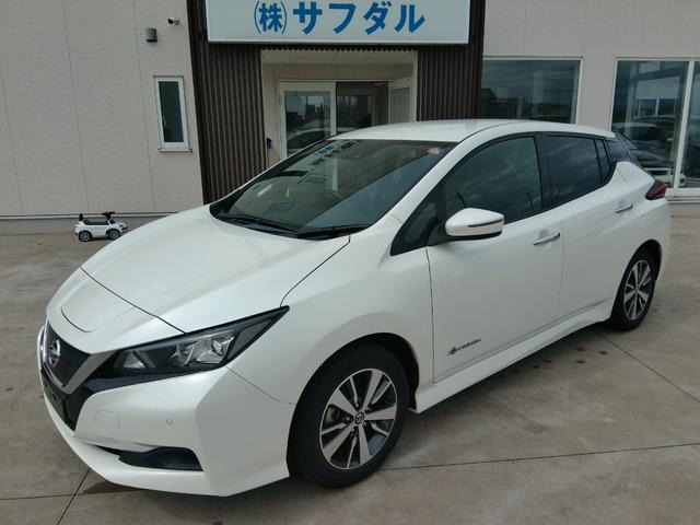 リーフ X 純正ナビ バックカメラ ETC