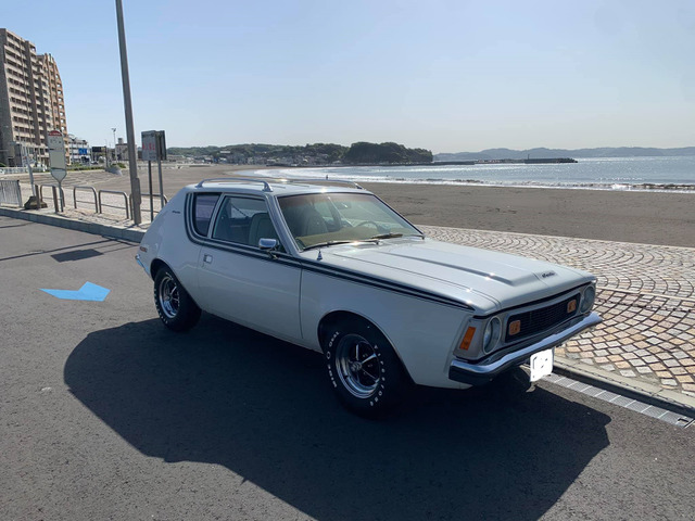 AMC /その他 AMC 