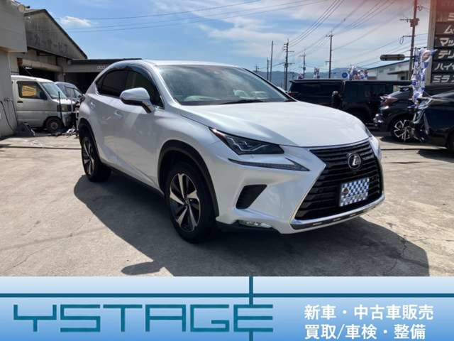 NX 300 Iパッケージ 4WD サンルーフ ETC ドラレコ ナビ