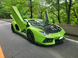 【中古車情報】ランボルギーニ アヴェンタドール LP700-4 4WD 本革シート シートヒーター の中古車詳細（走行距離：5.9万km、カラー：グリーン、販売地域：埼玉県東松山市六反町）