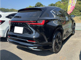 NX 250 バージョンL モデリスタエアロ デジタルインナーミラー