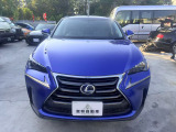 NX 300h 