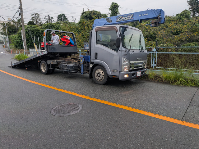 エルフ  