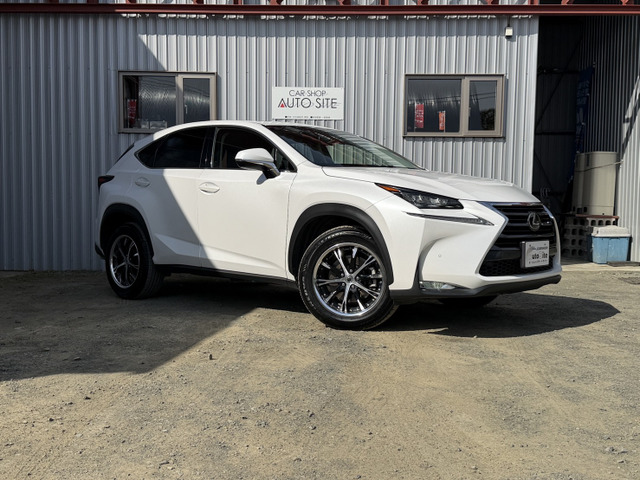NX 200t バージョンL 4WD 