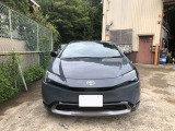 人気のアッシュ★ 艶々です★