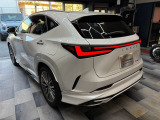 NX 250 バージョンL 