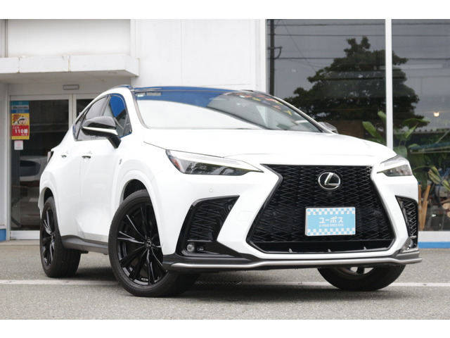 NX 350h Fスポーツ