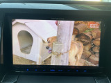 地デジ映ります。フルセグです。