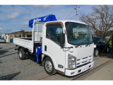 エルフ  セミロングスムーサータダノZR264HR