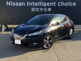 リーフ G 