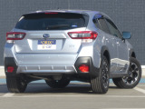 XV  