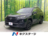 RAV4 2.0 アドベンチャー オフロードパッケージ II 4WD 