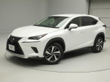 NX300h 300h Iパッケージ 