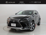 NX300 300 スパイス&シック
