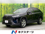 RAV4 2.0 X 