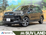 ライズ 1.0 Z 