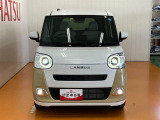 ムーヴキャンバス  ストライプス G