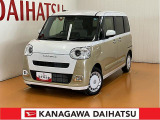 ムーヴキャンバス  ストライプス G