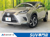 NX300h 300h Iパッケージ 