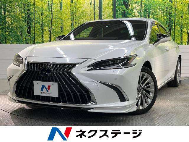 レクサスES用 TRDフロントスポイラー 両サイドのみ