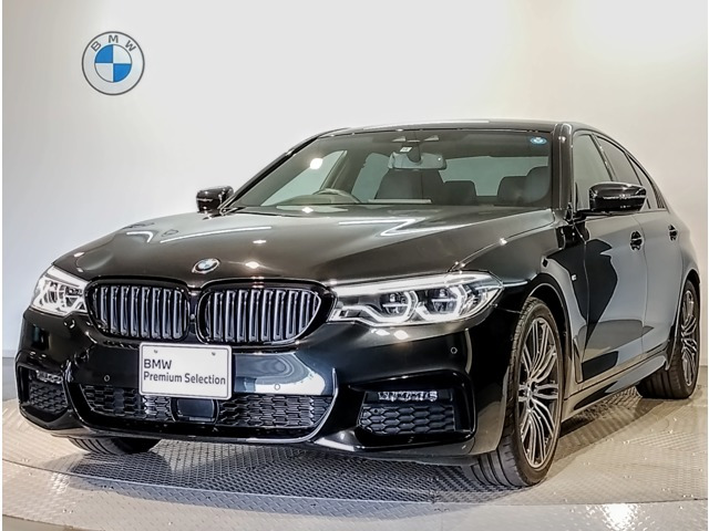 BMWキドニーグリル 5シリーズ - パーツ