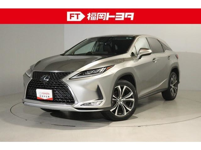 LEXUS RX カタログ•プライスリスト•オプションのセット - アクセサリー